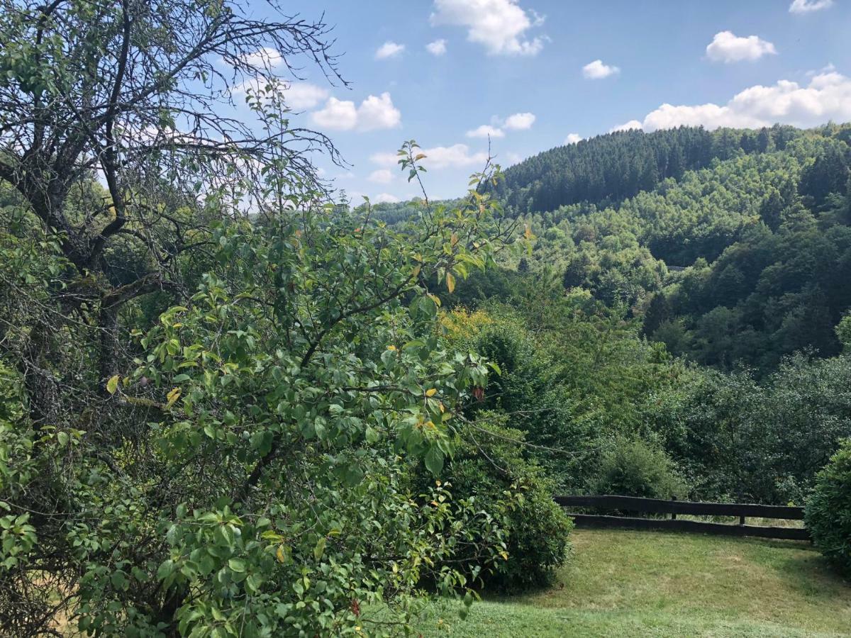 Apartament Haus Kierberg Monschau Zewnętrze zdjęcie