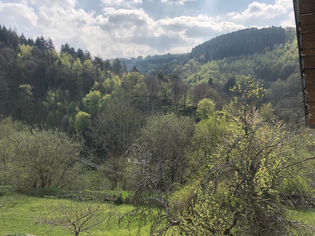 Apartament Haus Kierberg Monschau Zewnętrze zdjęcie